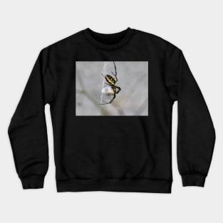 Yellow Garden Spider Crewneck Sweatshirt